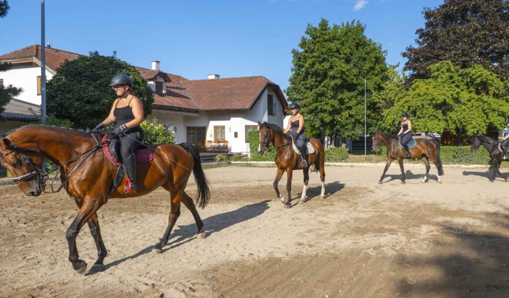 Reitunterricht Gruppenstunde Dressur